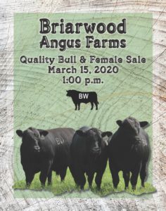 Briarwood Angus Farm - Sunday, March 15, 2020